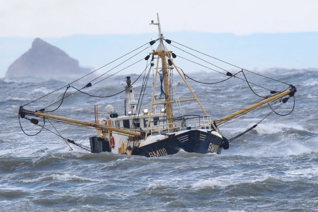 Fresh fish landed from Brixham harbour